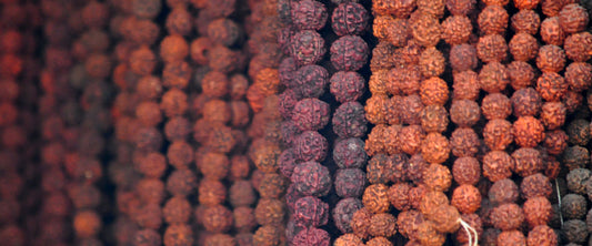 Rudraksha: Sacred Beads of Shiva's Blessings